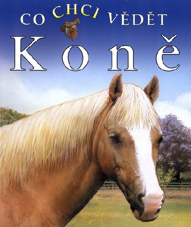 Kon - Jackie Budd