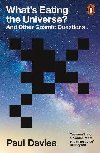 Whats Eating the Universe? - Davies Paul
