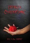Pomsta arodjnic - Michaela Mitroci 