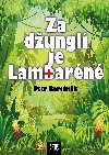 Za dungl je Lambarn - MUDr. Petr Bartnk CSc. 