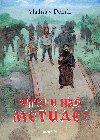 Vtej u ns Metude! - Vladislav Dolnk 