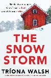 Snowstorm - Walsh Trona