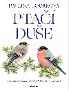 Ptačí duše - Létající drahokamy našich luk, lesů a zahrad - Barbora Kaminiecká