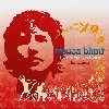 Back To Bedlam: The Demos (Rsd 2025) - LP - Blunt James