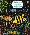 Usborne Scratch Activities Under the Sea - Hawkins Klara