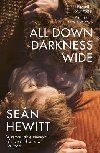 All Down Darkness Wide - Hewitt Sean