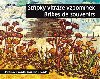 Střípky vitráže vzpomínek - Bribes de Souvenirs - Jaroslav Pivoda