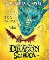 How To Train Your Dragon School: Doom of the Darkwing - Cowellov Cressida