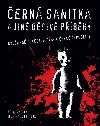Černá sanitka a jiné děsivé příběhy - Petr Janeček 