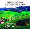 Virtulna minulos - Denis Makovini 