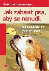 Jak zabavit psa, aby se nenudil - Christina Sondermann 