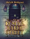 Dm na Baker Street - Michelle Birkbyov 