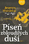 Pse zbloudilch du - Jesmyn Wardov 