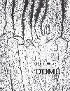 Dom - Ondej Hloek 
