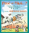 Pro se k... ? Bojovat s vtrnmi mlny... a dal oblben slov - Petr Kostka 