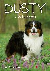 Dusty: V nebezpe - Jan Andersen 