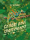 Co nm pov chameleon - Zora Sldkov 