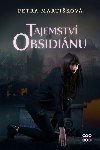 Tajemstv obsidinu - Petra Martikov 