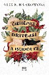 arodjnice dvj a budouc - Alix E. Harrowov 