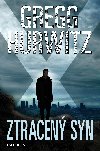 Ztracen syn - Gregg Hurwitz 