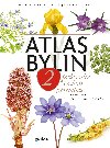 Atlas bylin 2 - Marta Knauerová , Marta Knauerová Jana Drnková 