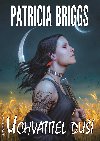 Uchvatitel du - Patricia Briggs 