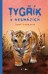 Tygk v nesnzch - Rachel Delahaye 