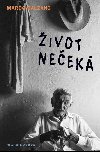 ivot neek - Marco Balzano 