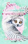 Sovy z arovnho lesa - Narozeninov oslava - Catherine Coeov 
