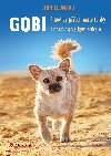 Gobi - Dion Leonard 