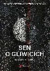 Sen o Gliwicch - Wojciech Dutka 
