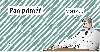 Pan prim v praxi - Pan Prim 
