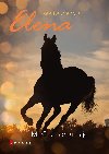 Elena: Mrana nad turnajem - Nele Neuhaus 