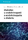 Diabetes u endokrinopati a endokrinopatie u diabetu - Jan Bro , Jan Bro Jana Urbanov , Jan Bro Jana Urbanov Ludmila Brunerov 