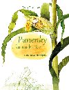 Panenky z ku-ku-kuice - Petra Braunov 