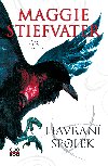 Havran spolek - Maggie Stiefvaterov 