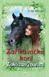 Zaříkávačka koní - Zakázaný turnaj - Gina Mayer 