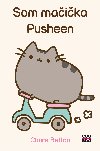 Som maika Pusheen - Claire Belton 