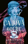 Čajová bouře - Hafsah Faizal 