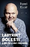 Labyrint bolesti - Pavel Kol 