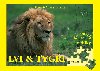 Lvi a tygi - 