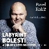 Labyrint bolesti - Pavel Kol 