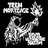 Devil Ultrasonic Dream - LP - Teen Mortgage