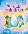 One Little Raindrop - Sims Lesley