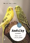 Andulky - Schachtov Wencke Sabrina