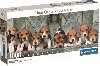 Puzzle Panorama: Bglov 1000 dlk - neuveden