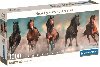 Puzzle Panorama: Kon 1000 dlk - neuveden