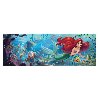 Puzzle Panorama: Mal mosk vla 1000 dlk - neuveden