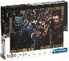 Puzzle Hra o trny: Koruna 1000 dlk - neuveden