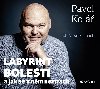 Labyrint bolesti (audiokniha) - Pavel Kol